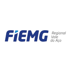 Fiemg